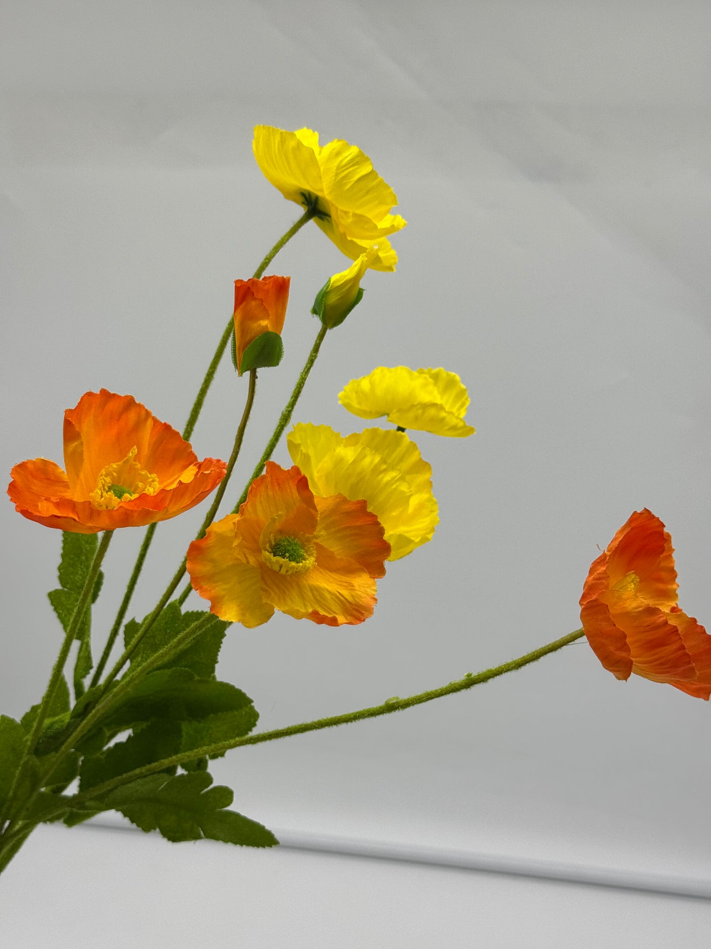 Poppy Spray