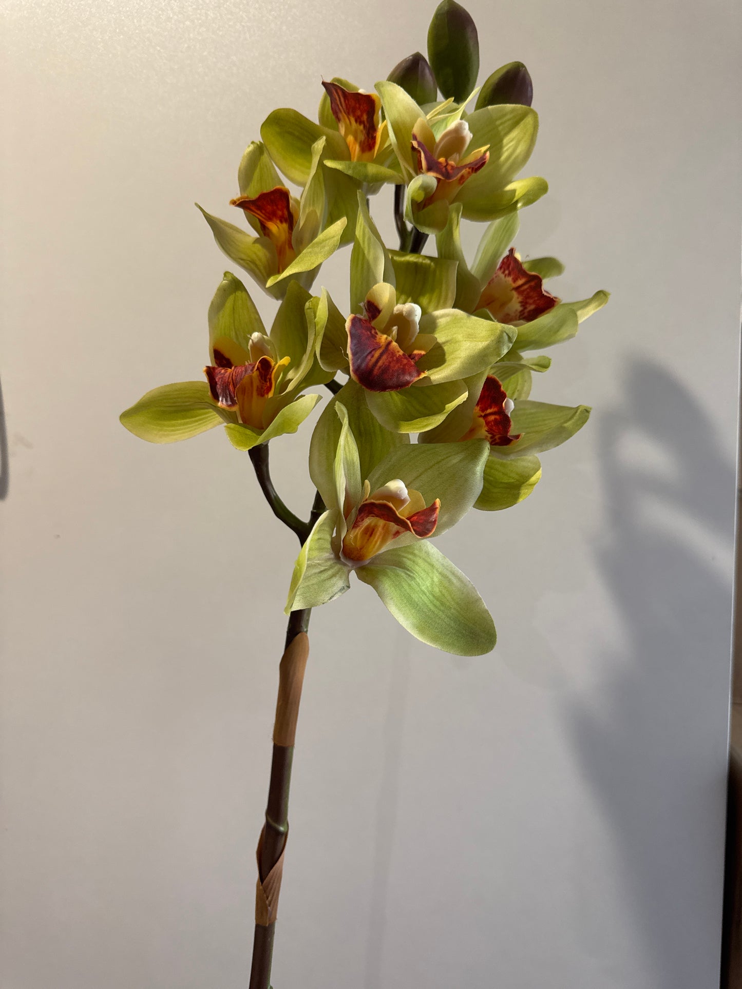 Premium Large Orchid Real Touch