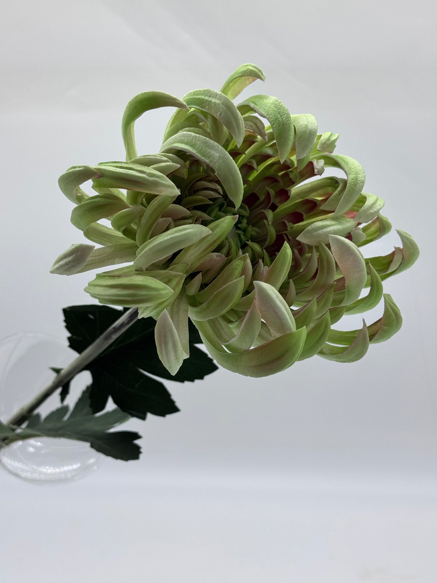 Real Touch XL Chrysanthemum Single Stem
