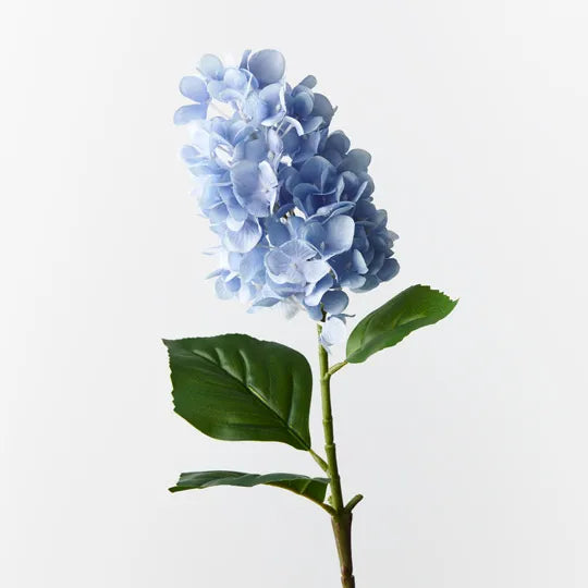 Hydrangea Small Cone Blue