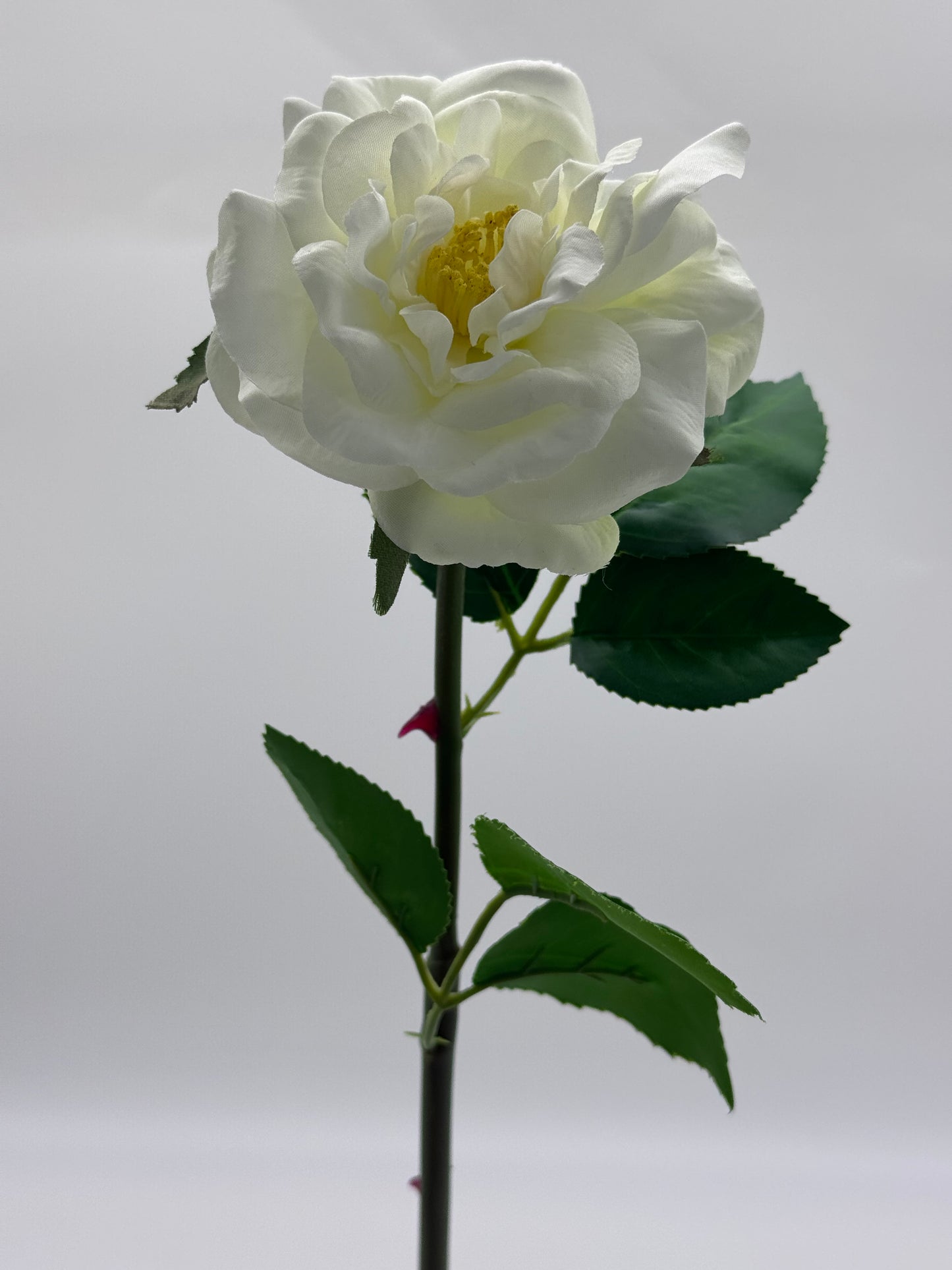 Tea Rose Single Stem Silk