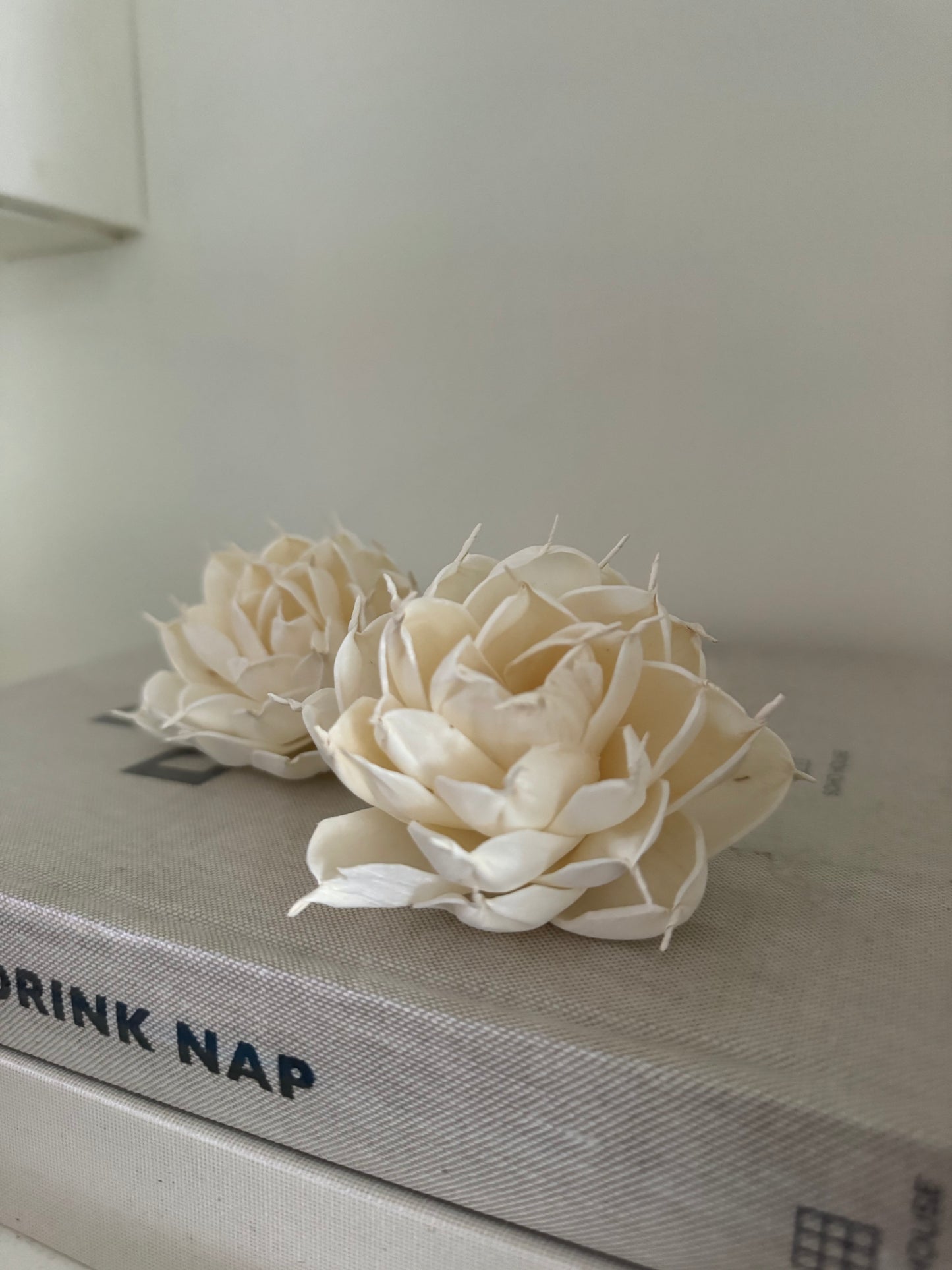 Sola Flower