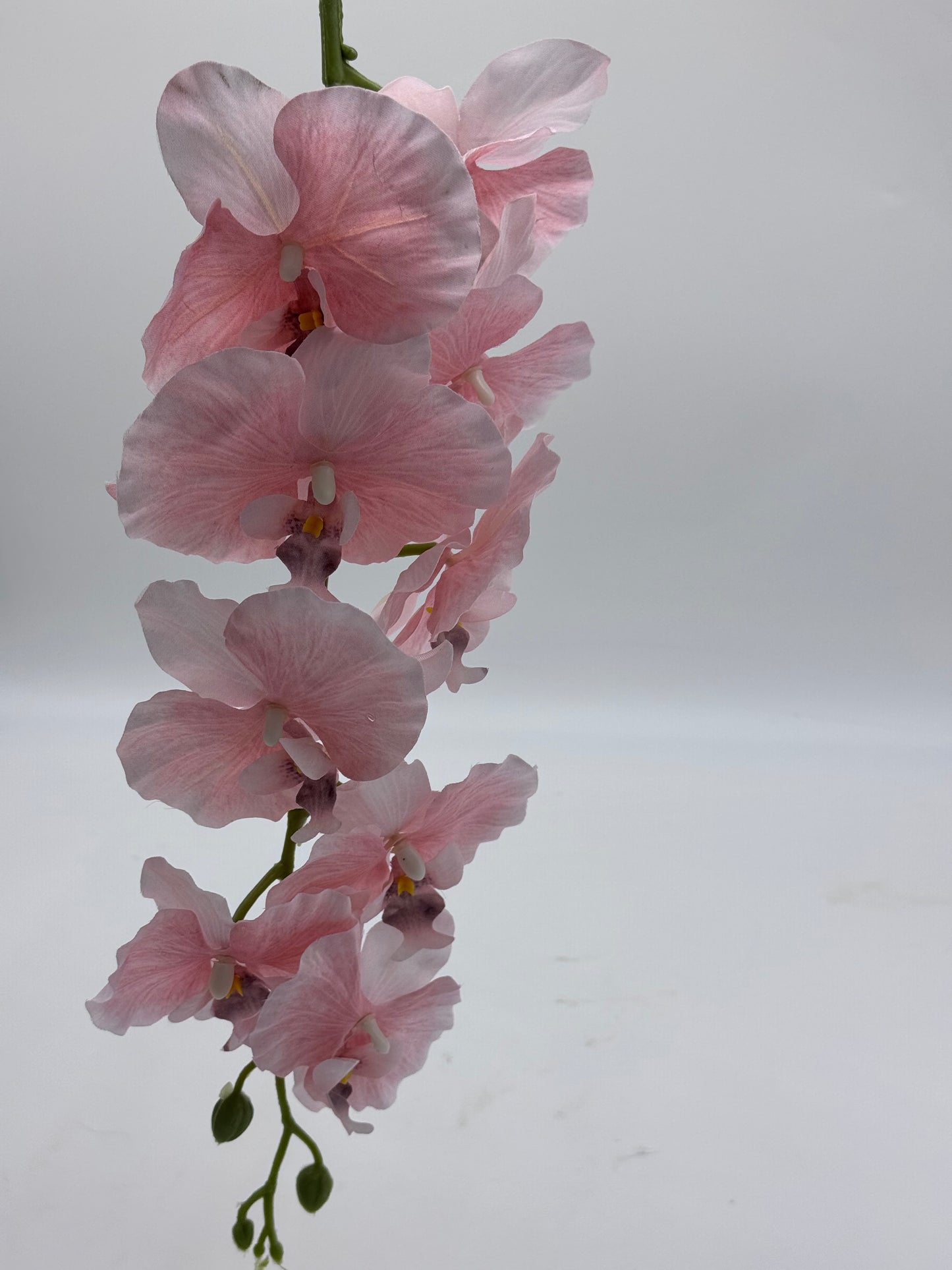 Orchid Silk