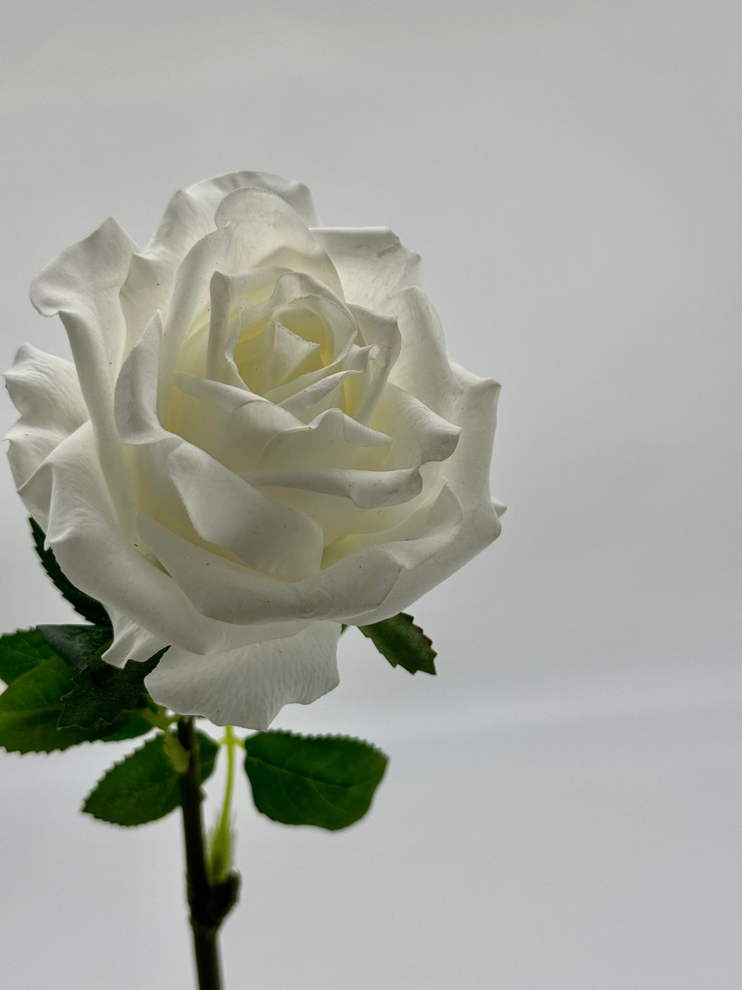 Real Touch Gina Rose White Single Stem