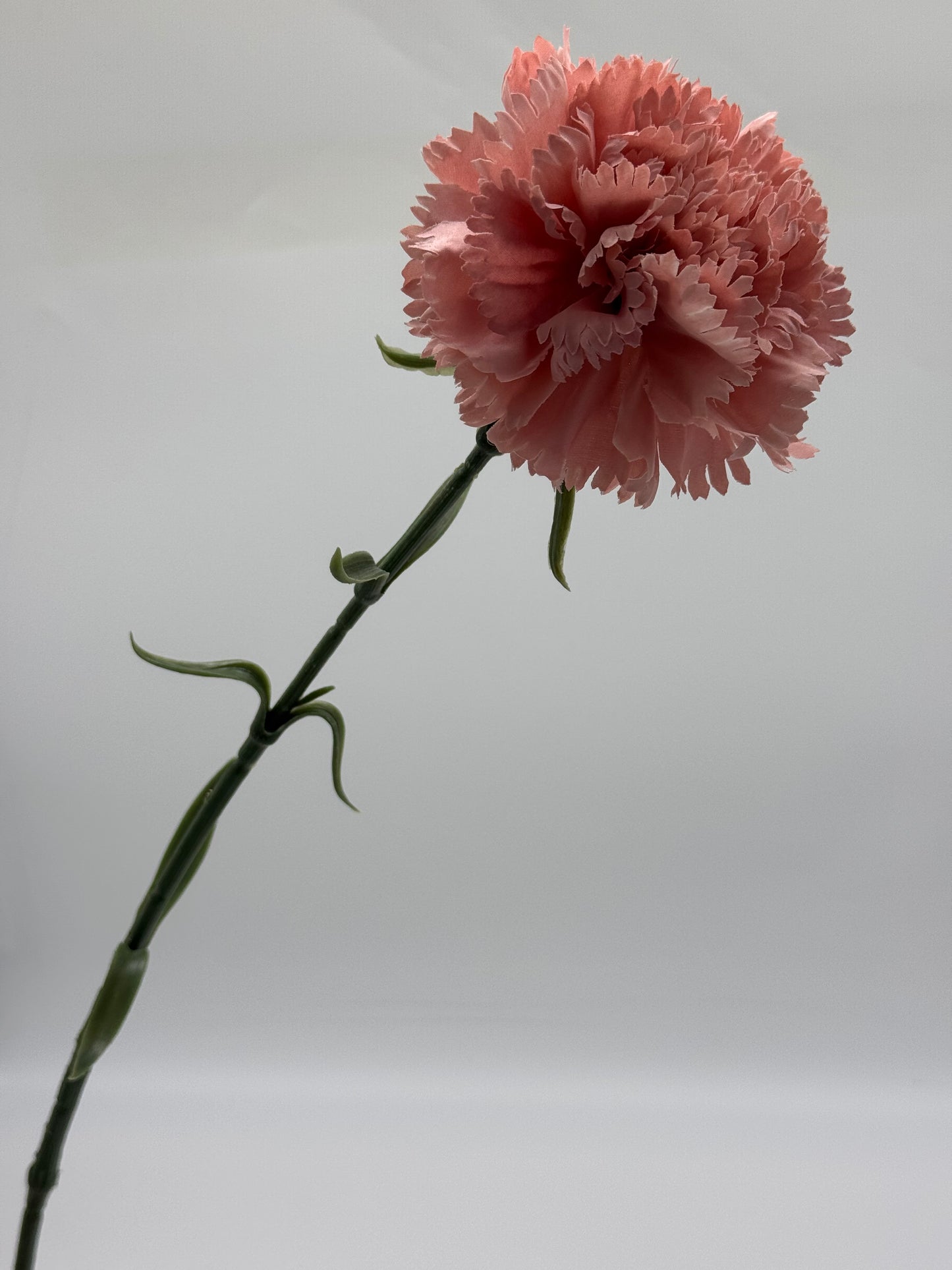 Carnation Large Silk