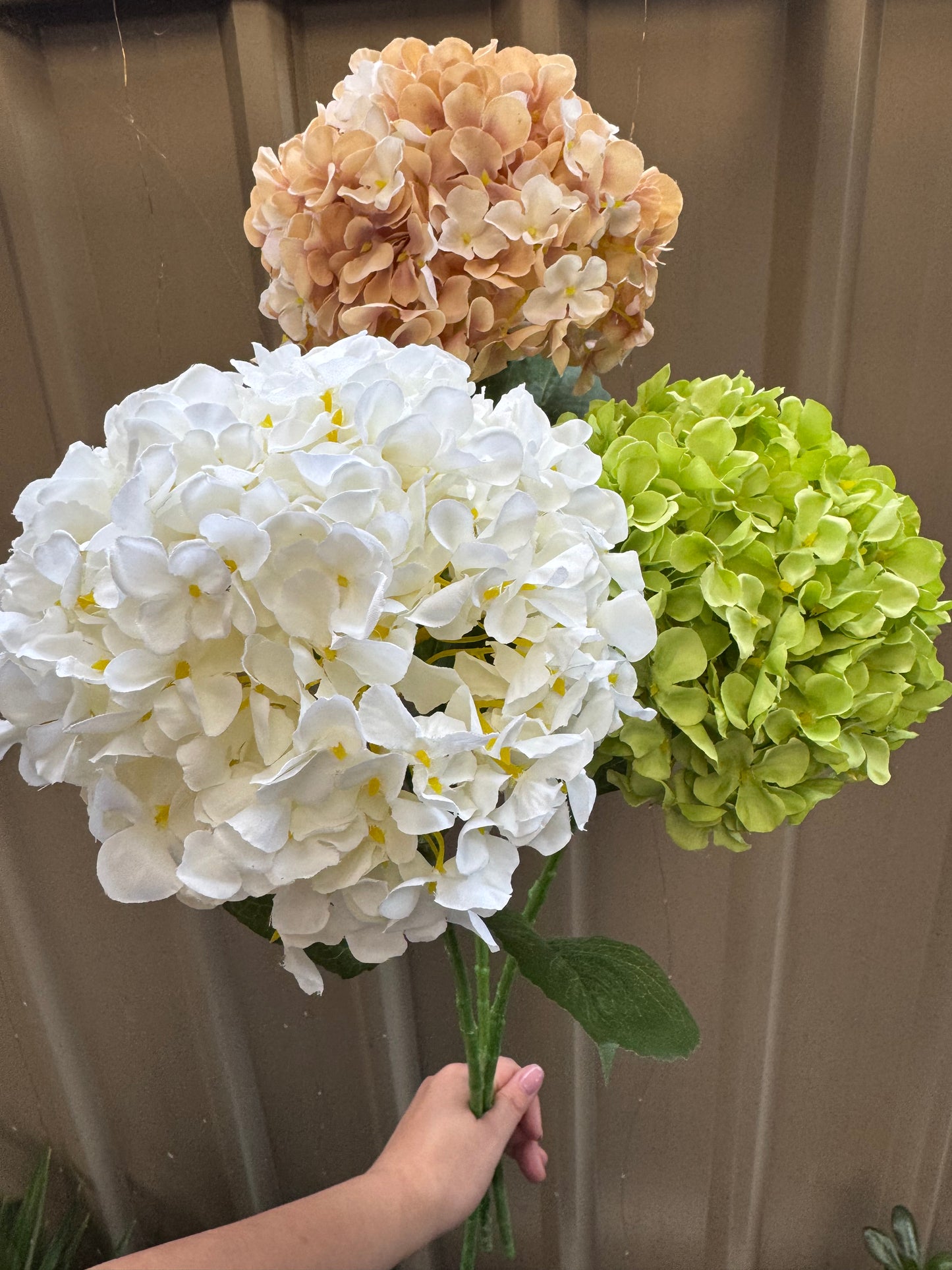 Hydrangea Single Silk
