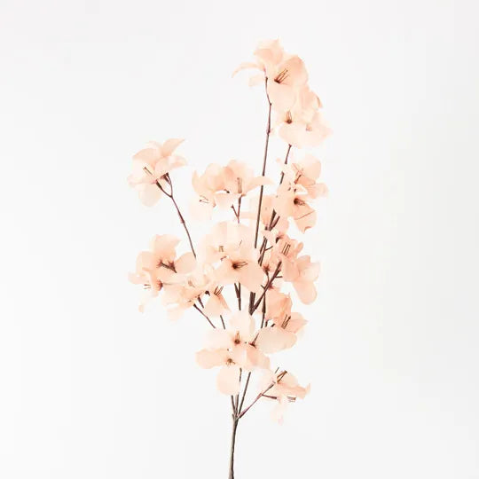 Bougainvillea Spray Blush