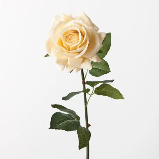 Real Touch Hannah Single Stem Rose