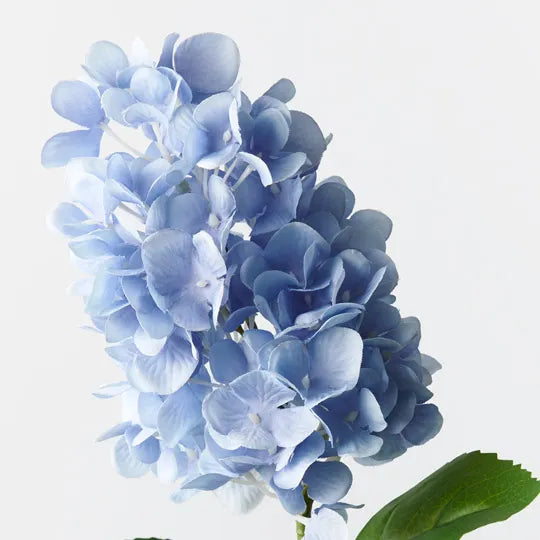 Hydrangea Small Cone Blue
