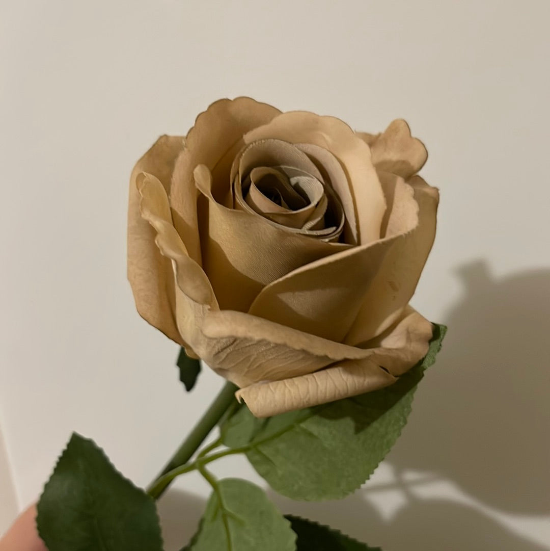 Fresh Touch Small Open Rose Bud Coffee