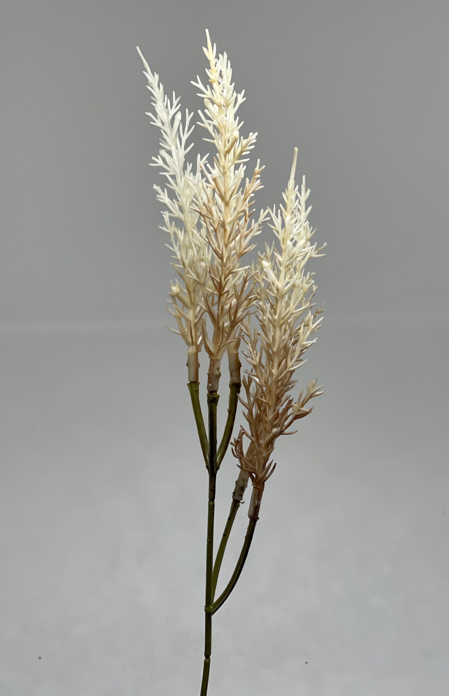 Plastic Wheat Grass Bunch Cream 3pcs