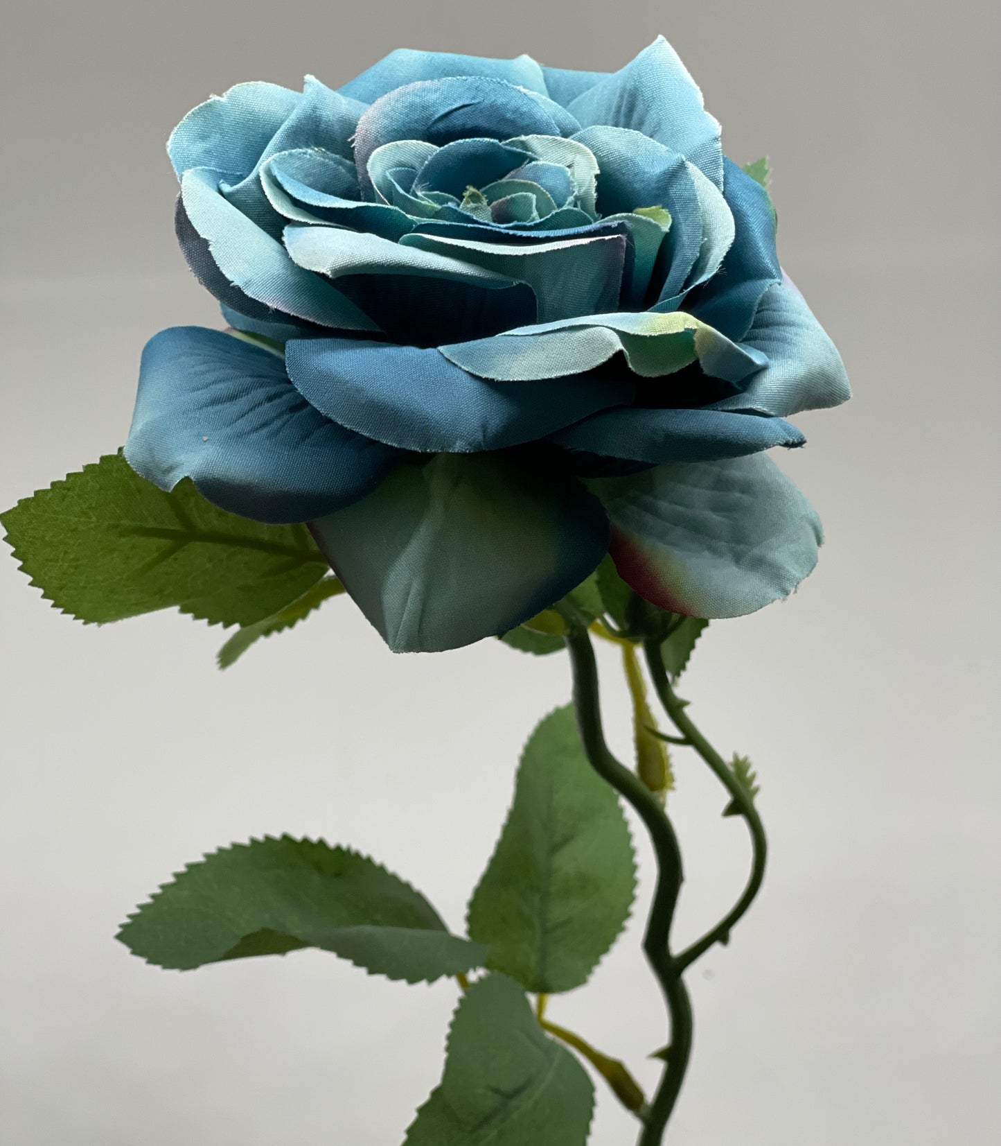Single Stem Rose Blue
