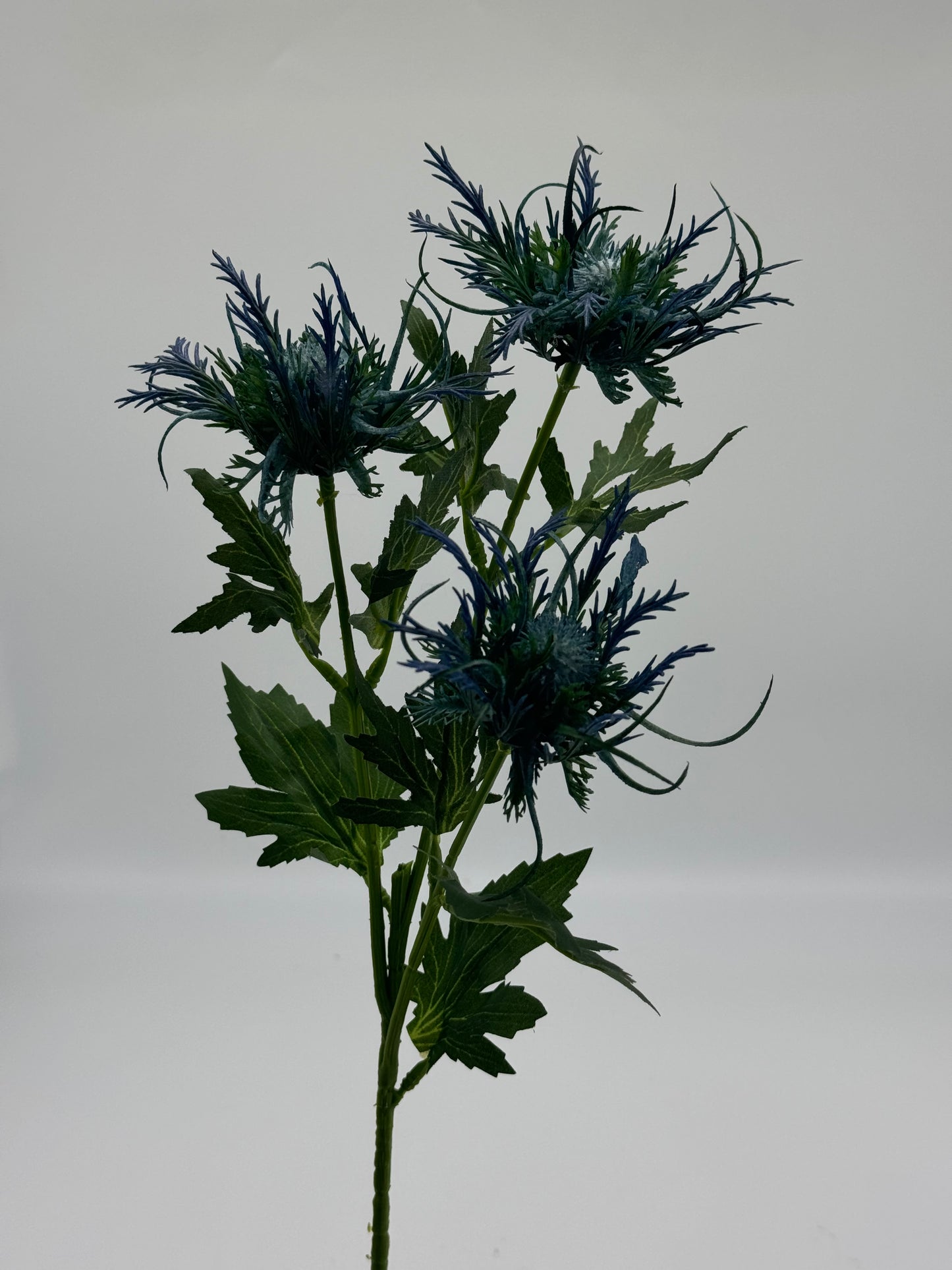 Real Touch Eryngos Eryngium Deep Blue