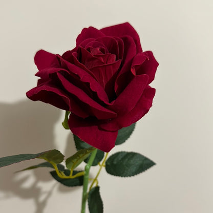 Velvet Single Stem Rose Red