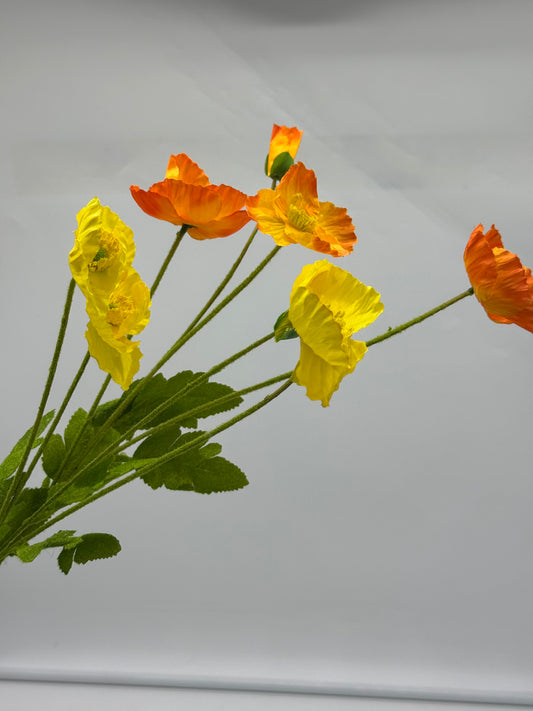 Poppy Spray