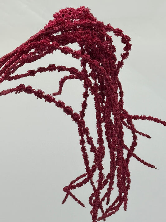 Real Touch Amaranthus