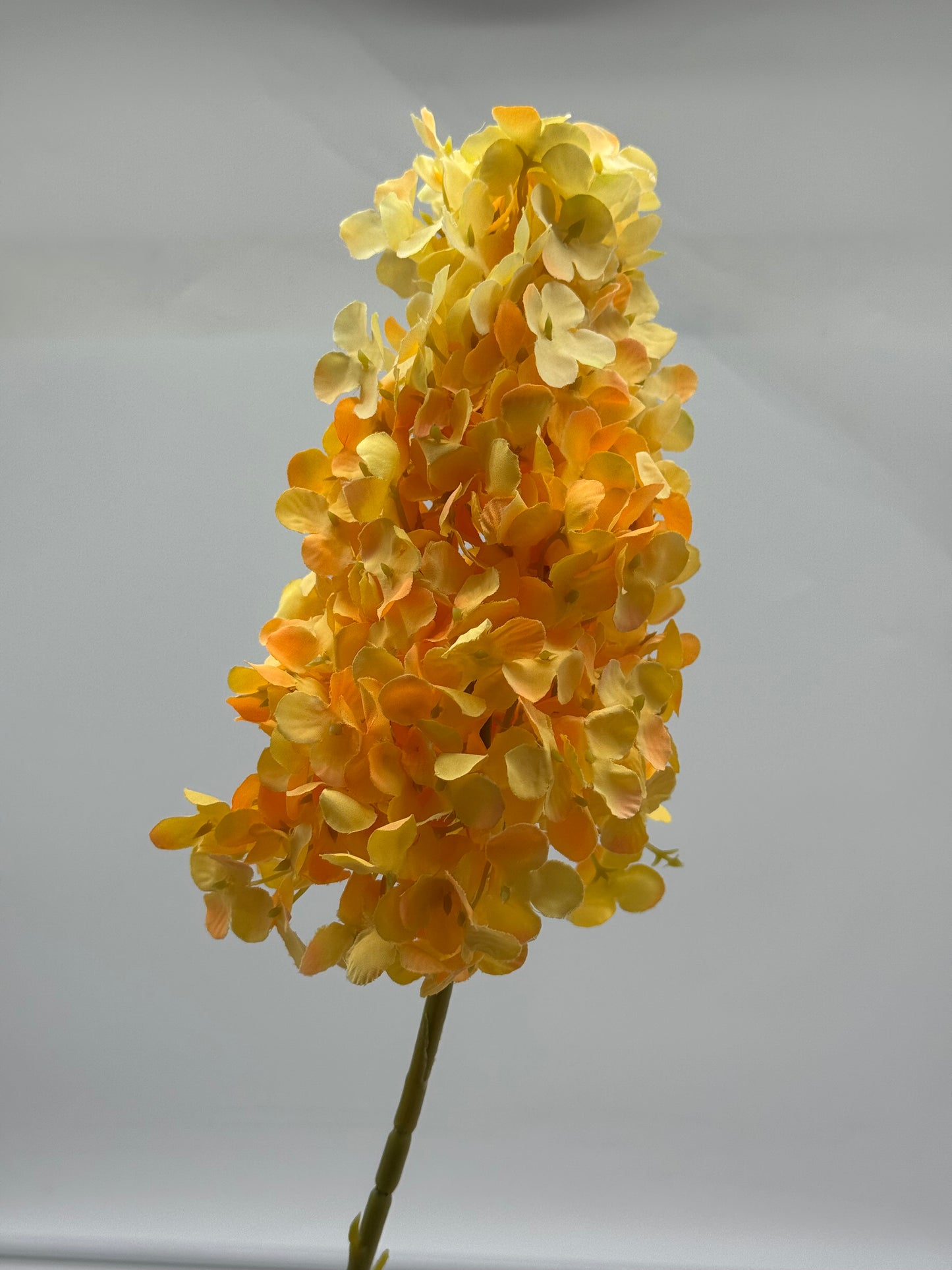 Hydrangea Cone Silk