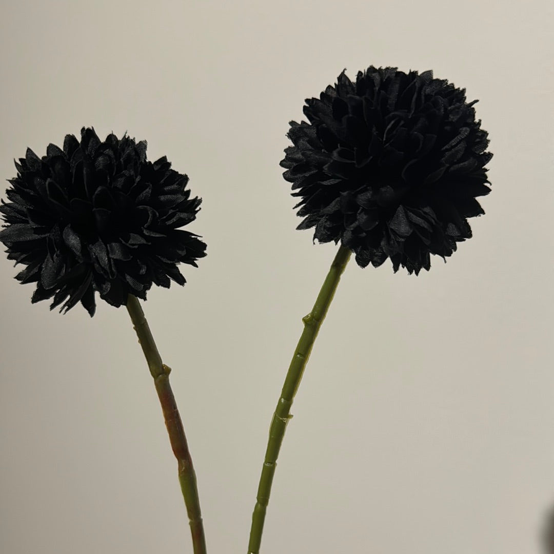 Chrysanthemum 2pc Set Black