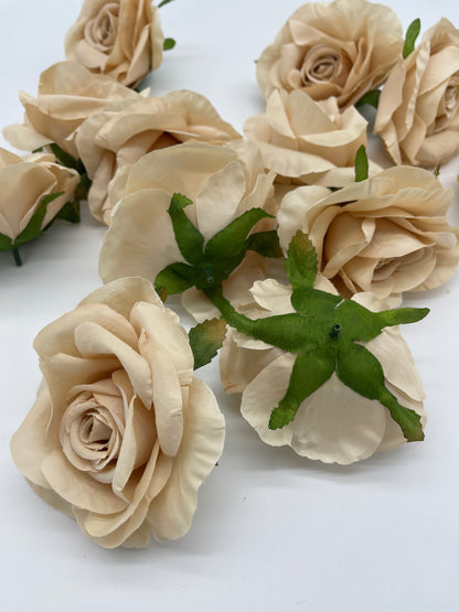 Rose Head Beige 12pcs