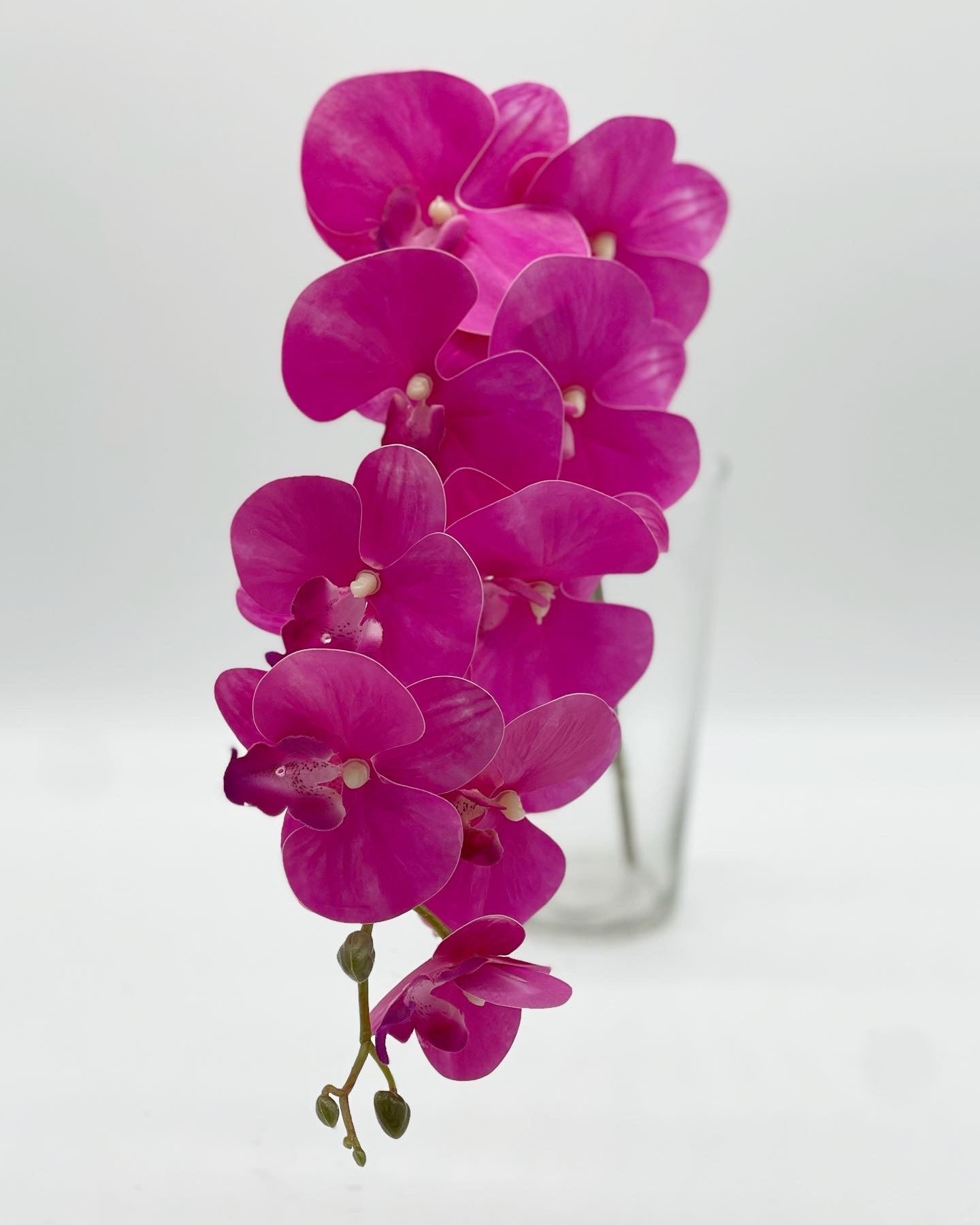 Single Stem Phalaenopsis Orchid 9 Heads Hot Pink