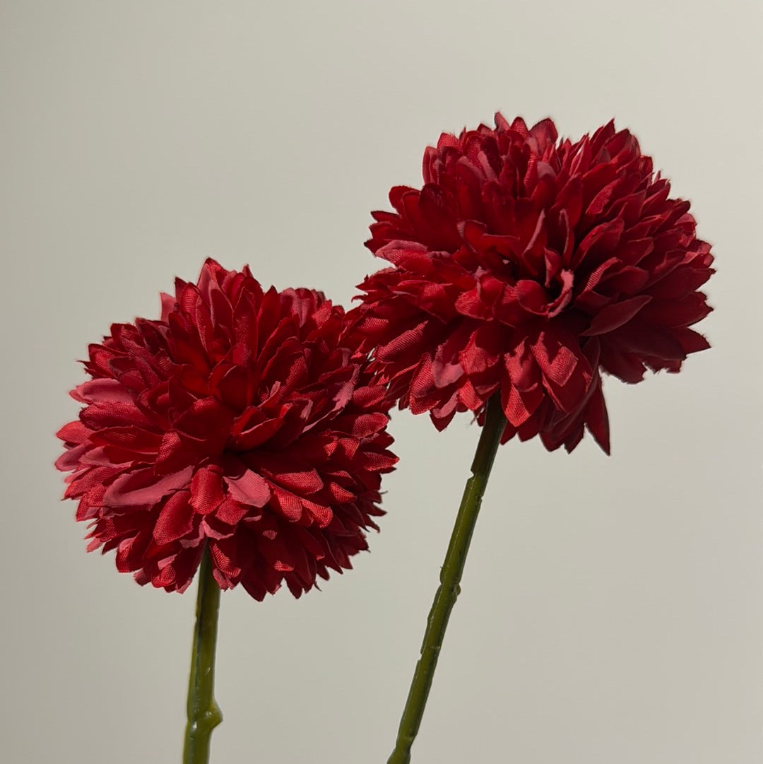 Chrysanthemum 2pc Set Red