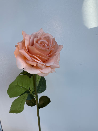 Alice Real Touch Premium Single Stem Rose Peach