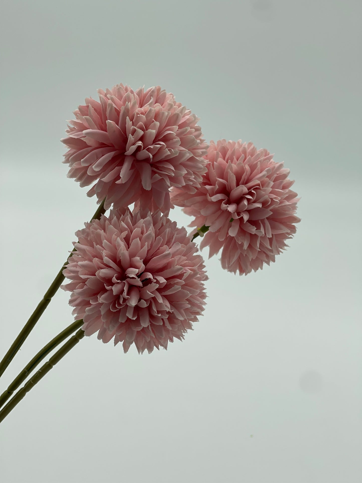 Chrysanthemum 3pc Set Dusty Pink