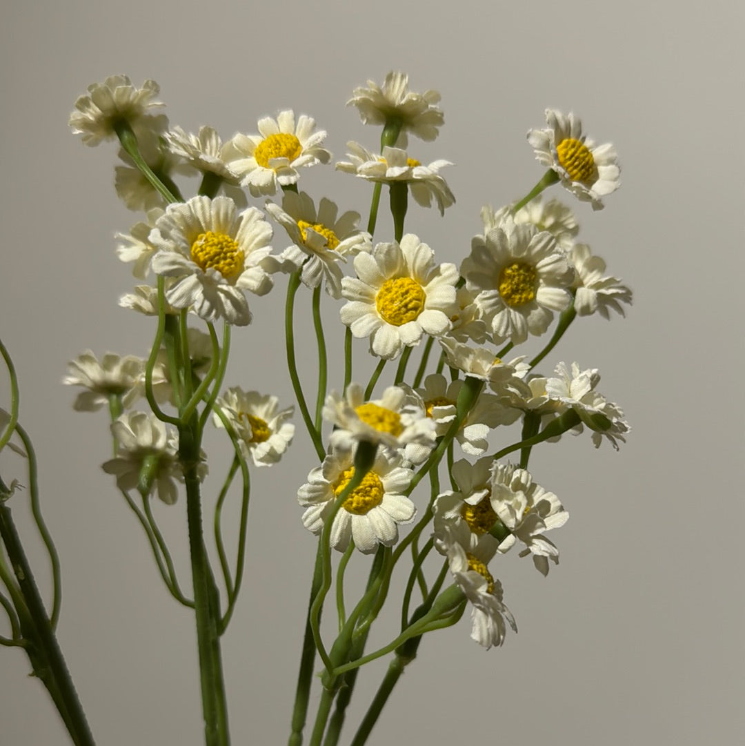 Daisy Mini Spray