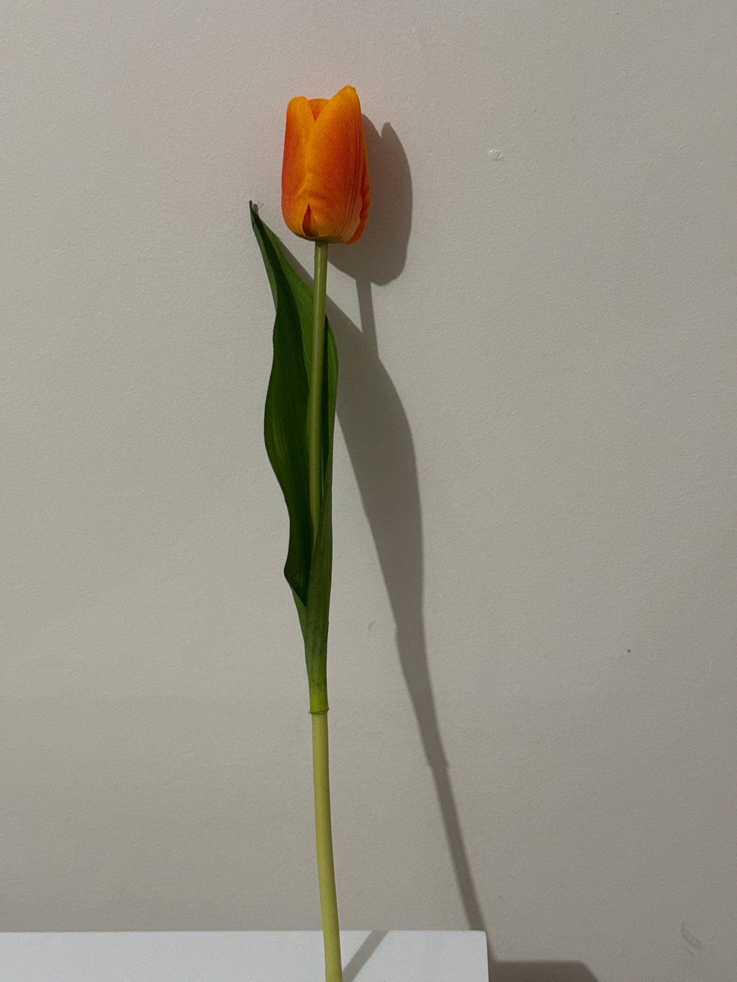 Tulip Real Touch Orange