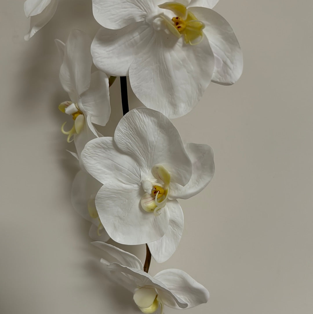 Real Touch Phalaenopsis Orchid Stem White