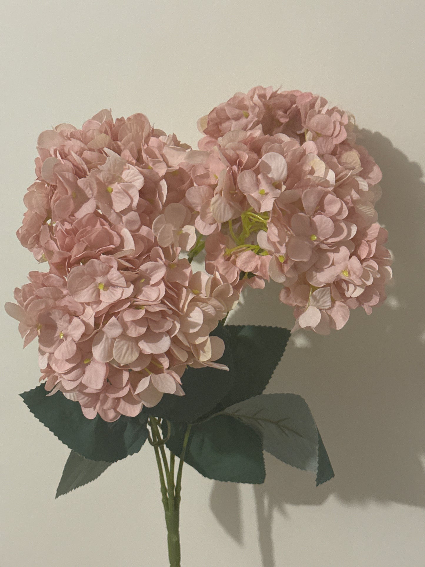 Hydrangeas Spray Soft Pink