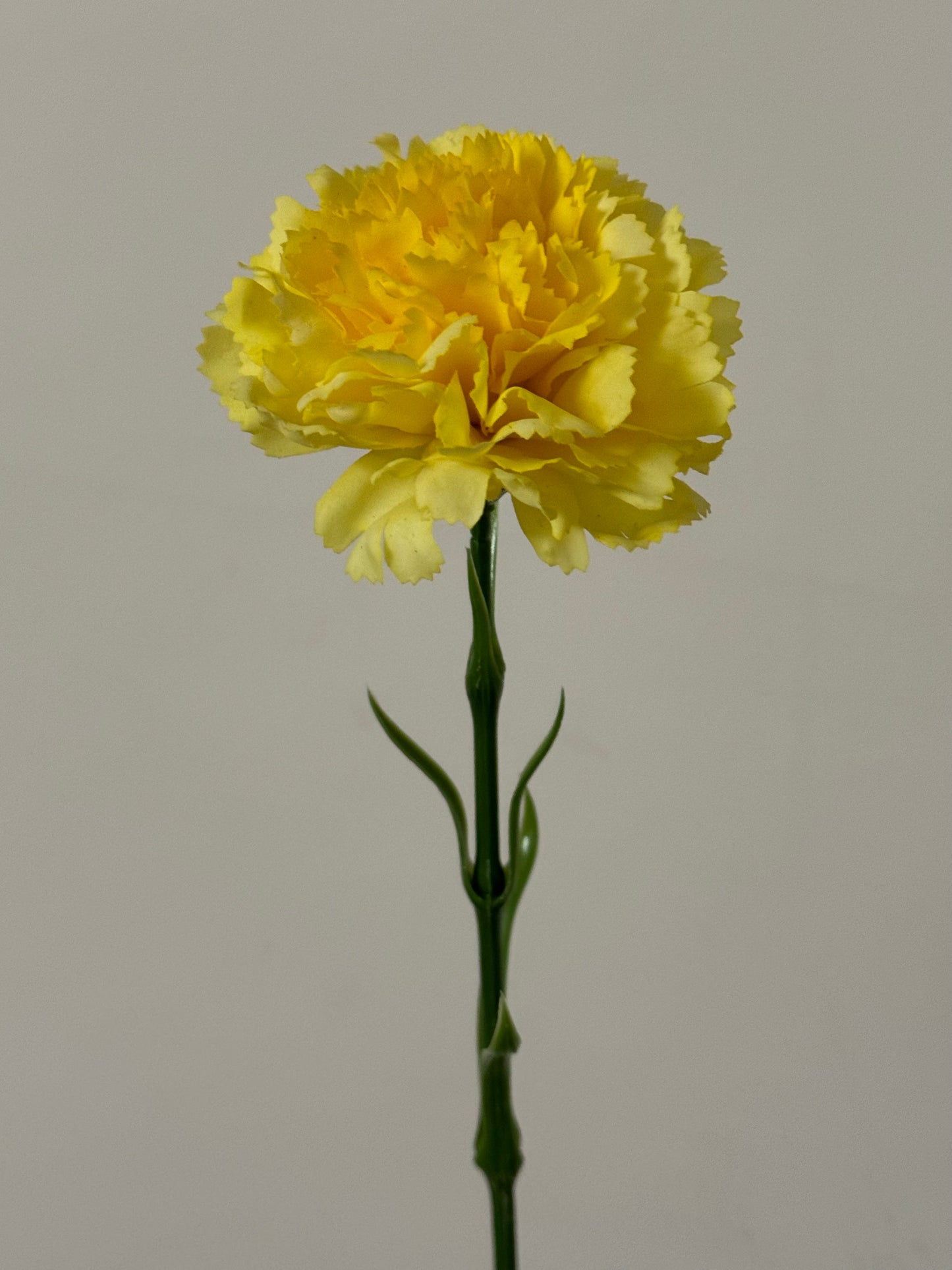 Real Touch Carnation Single Stem Yellow