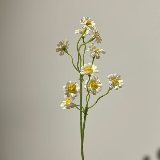 Daisy Mini Spray