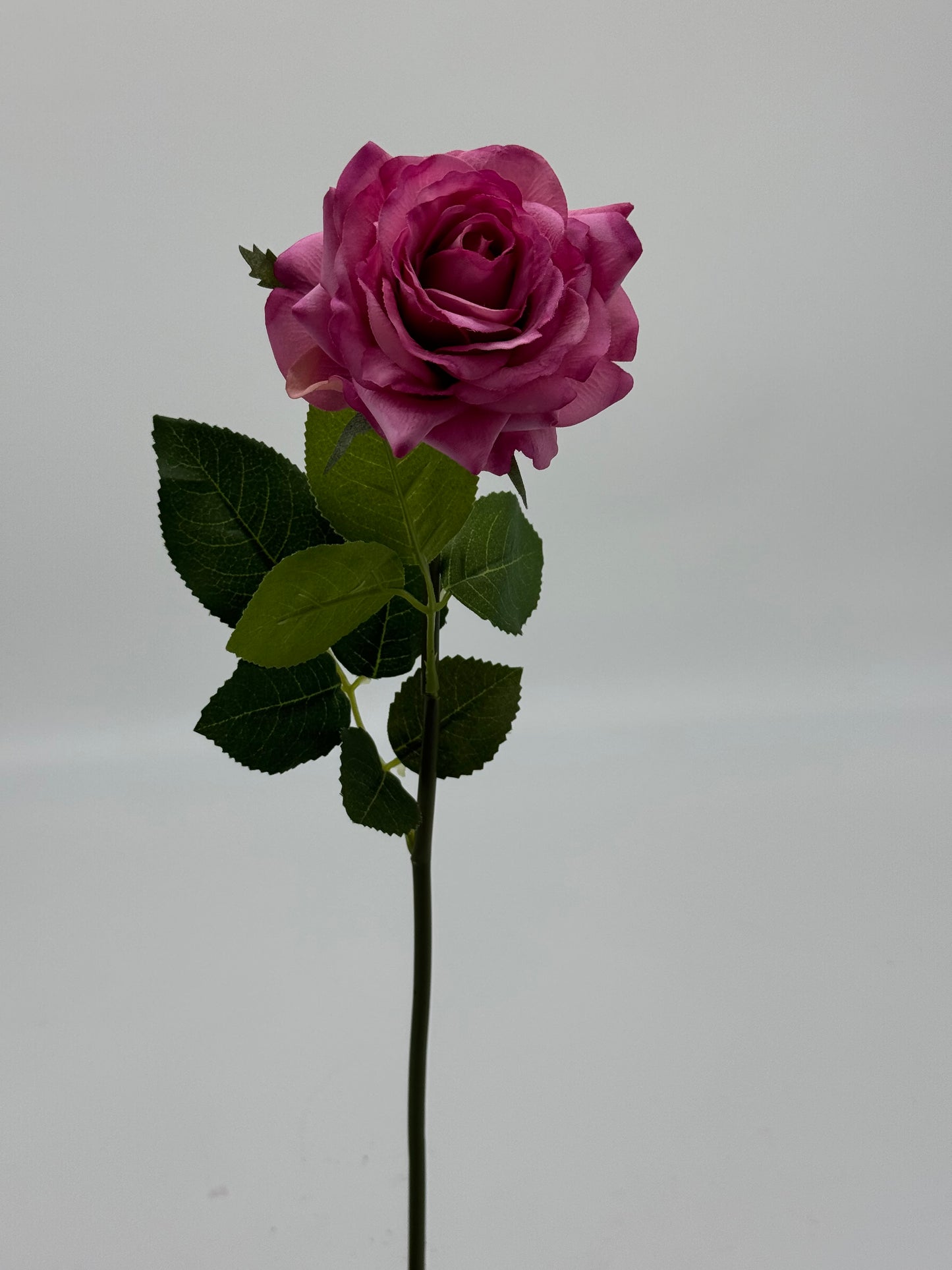 Alice Real Touch Premium Single Stem Rose Fuchsia