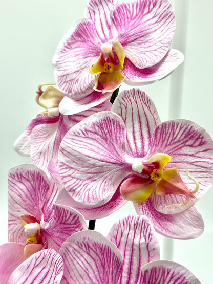 Real Touch Phalaenopsis Orchid Stem Pink