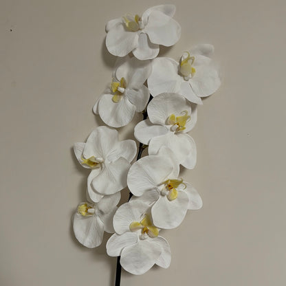 Real Touch Phalaenopsis Orchid Stem White