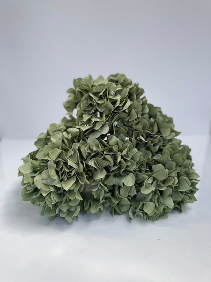 Large 5 Spray Hydrangeas Bush