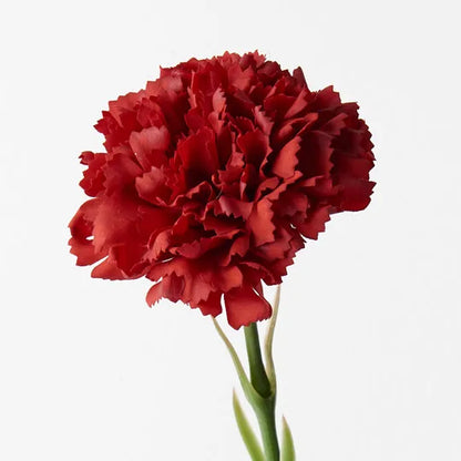 Real Touch Carnation Single Stem Deep Red