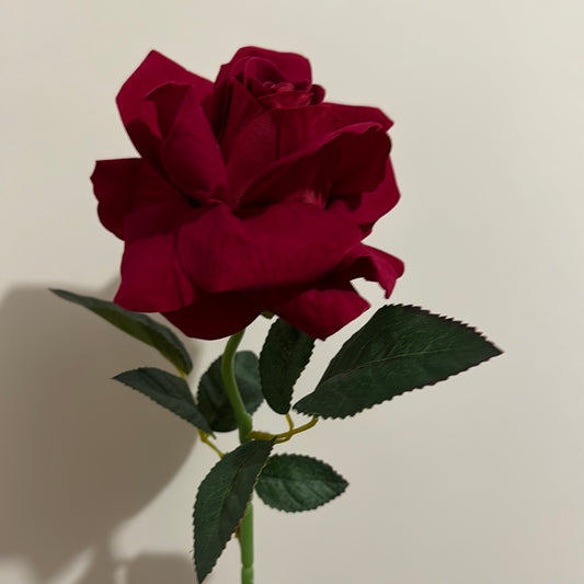 Velvet Single Stem Rose Red