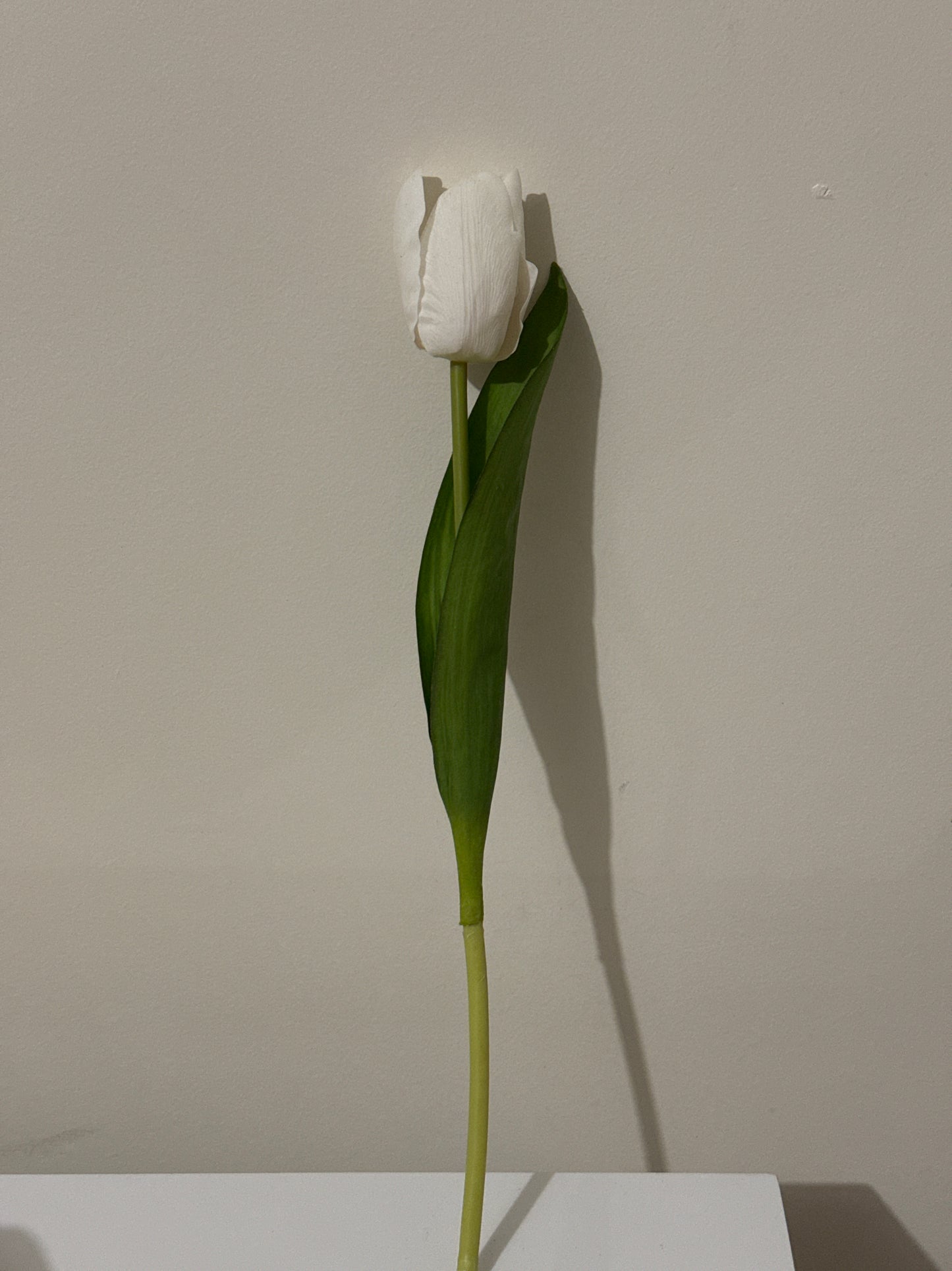 Tulip Real Touch White