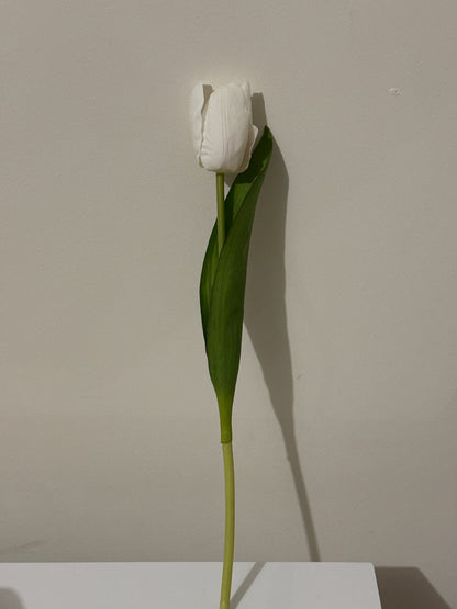 Tulip Real Touch White