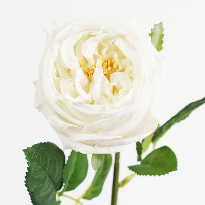 Real Touch Single Stem David Austin Roses White