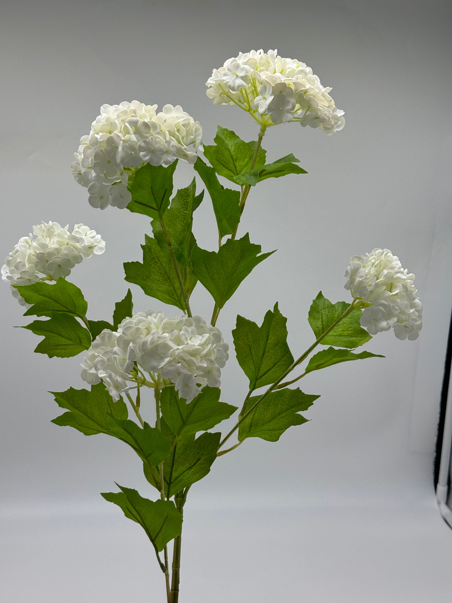 Hydrangeas Spray 5 Real Touch White