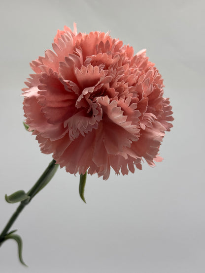 Carnation Large Silk