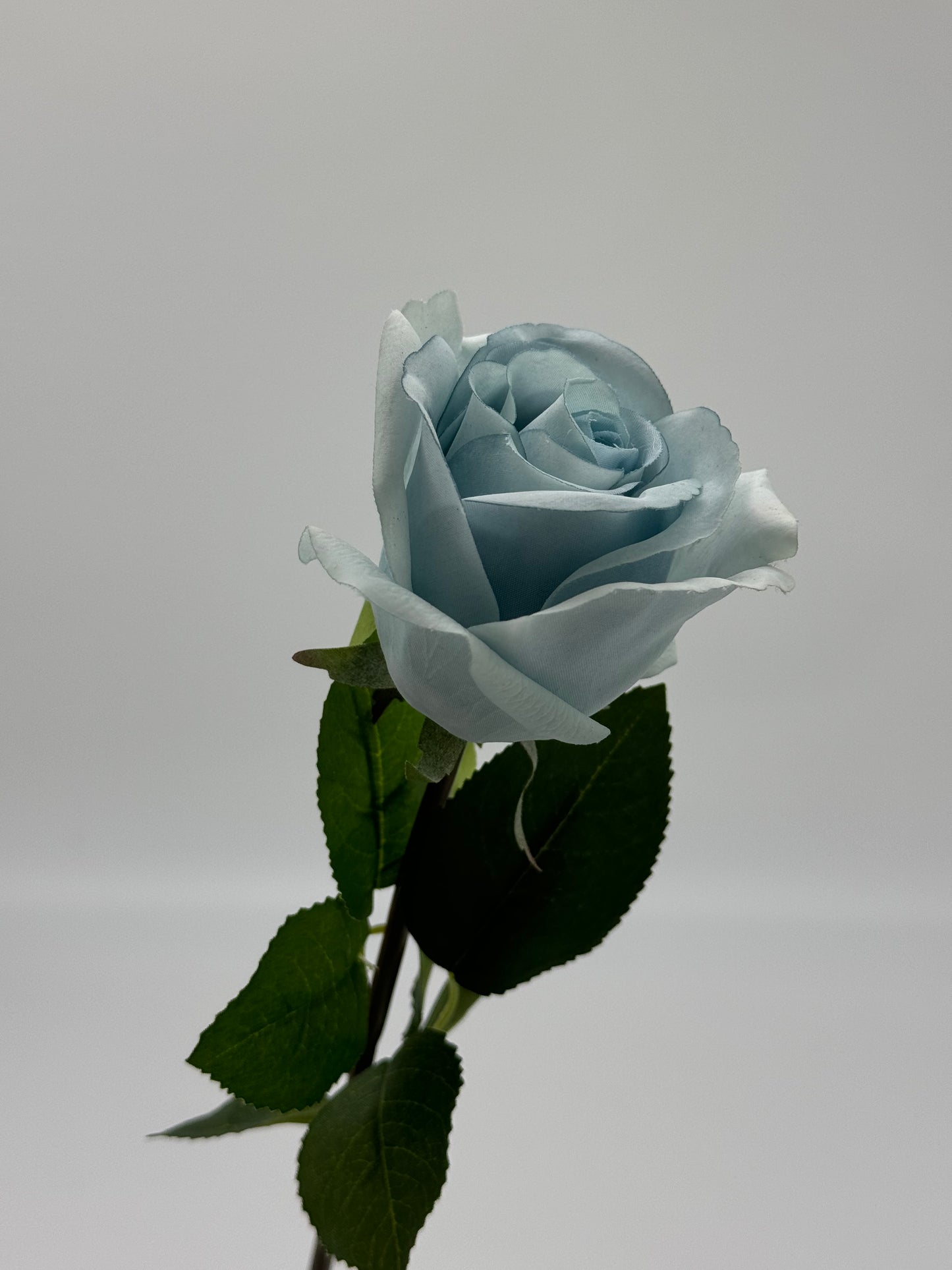 Single Stem Anna Rose Open Bud Real Touch Blue