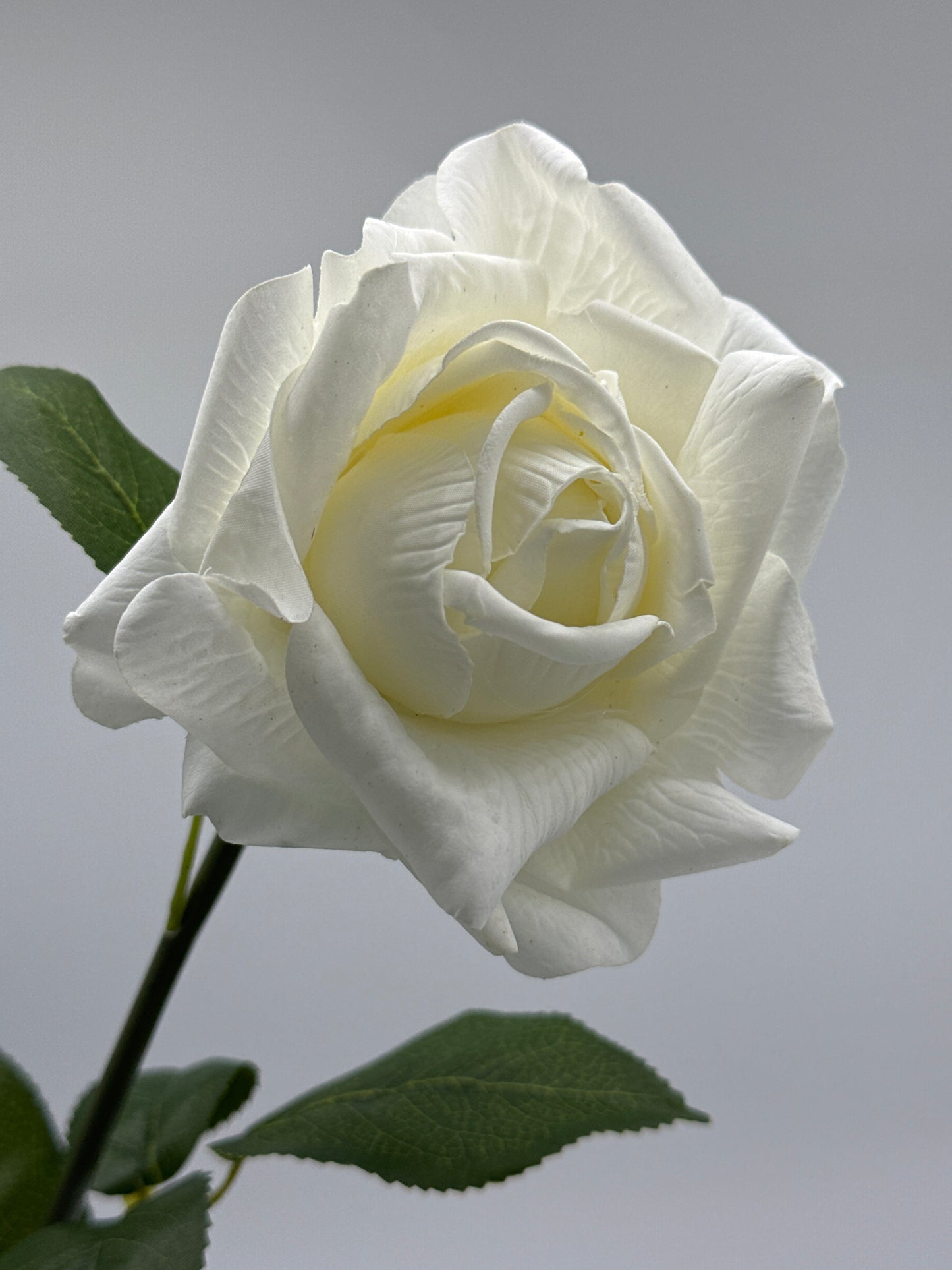 Louis Real Touch Single Stem Rose White