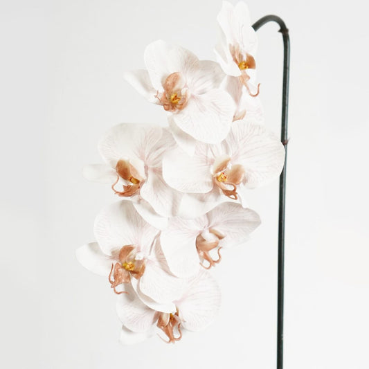 Real Touch Phalaenopsis Orchid Stem