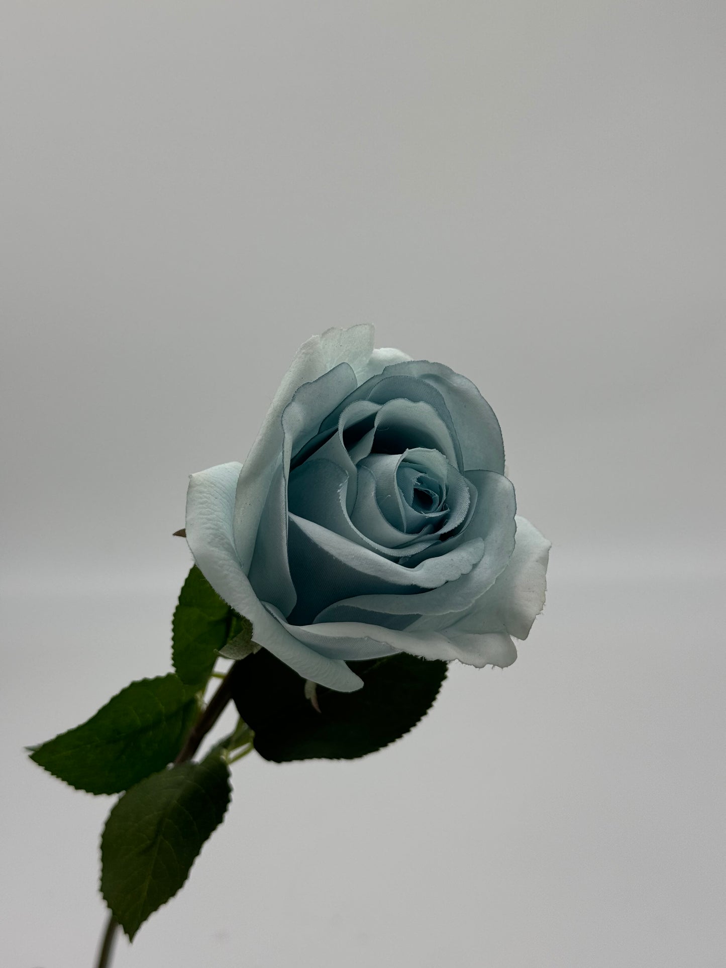 Single Stem Anna Rose Open Bud Real Touch Blue