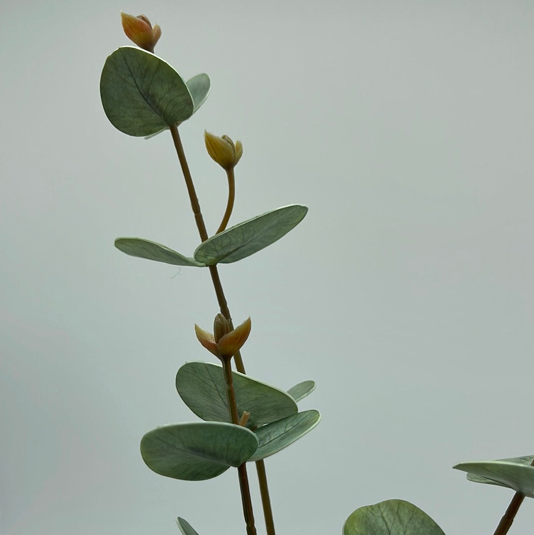 Eucalyptus Leaves Real Touch 3 Forks