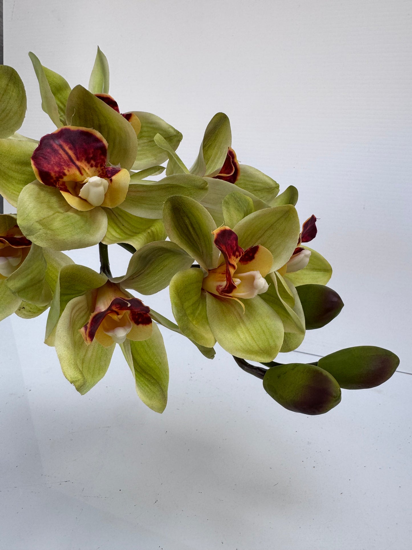 Premium Large Orchid Real Touch